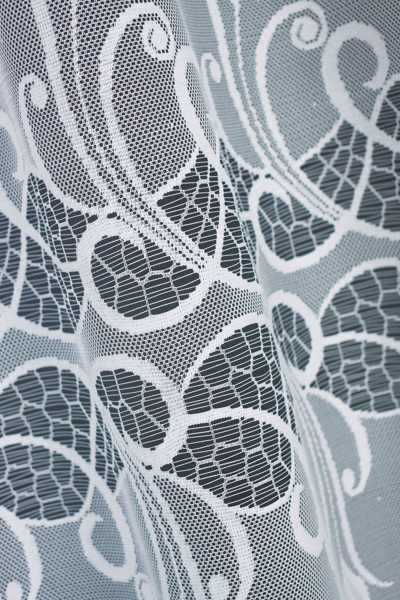 Žakarda dienas aizkari 354320